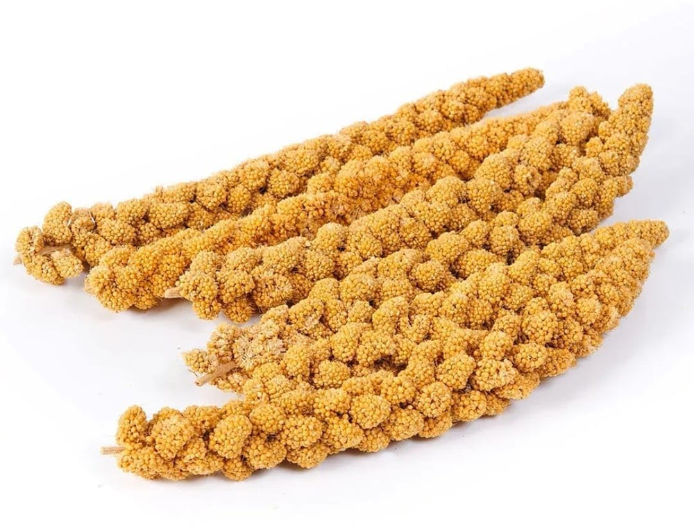 Vivlly millet en spray 5 livres – riche en acides aminés pour soutenir l'énergie.