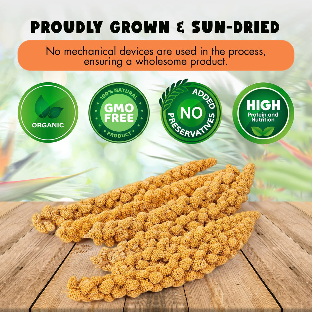 Vivlly millet en spray 5 livres – séché au soleil pour préserver les nutriments.