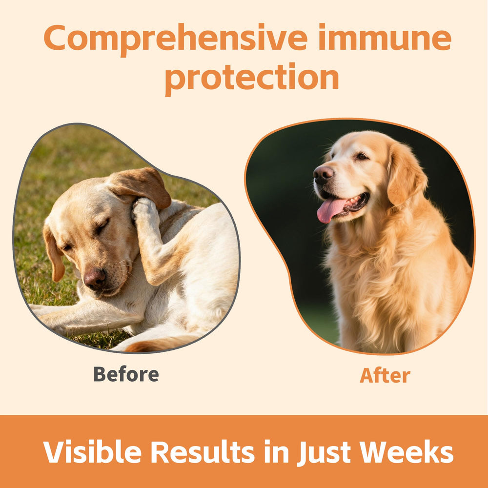 Probiotiques et colostrum VivaElixir pour une flore intestinale équilibrée et une peau saine.