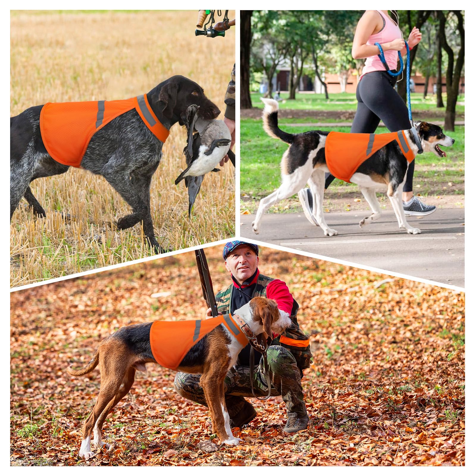 Veste Vizbrite pour chien, vue extérieure, idéale pour les sorties nocturnes et les balades.
