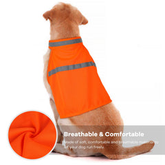 Veste Vizbrite chien avec fermeture velcro et réglage faciles