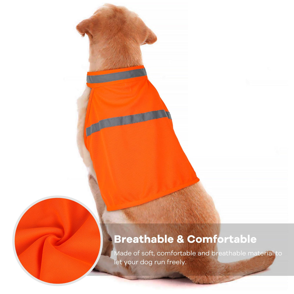 Veste Vizbrite pour chien, vue arrière, visibilité accrue lors des promenades diurnes.