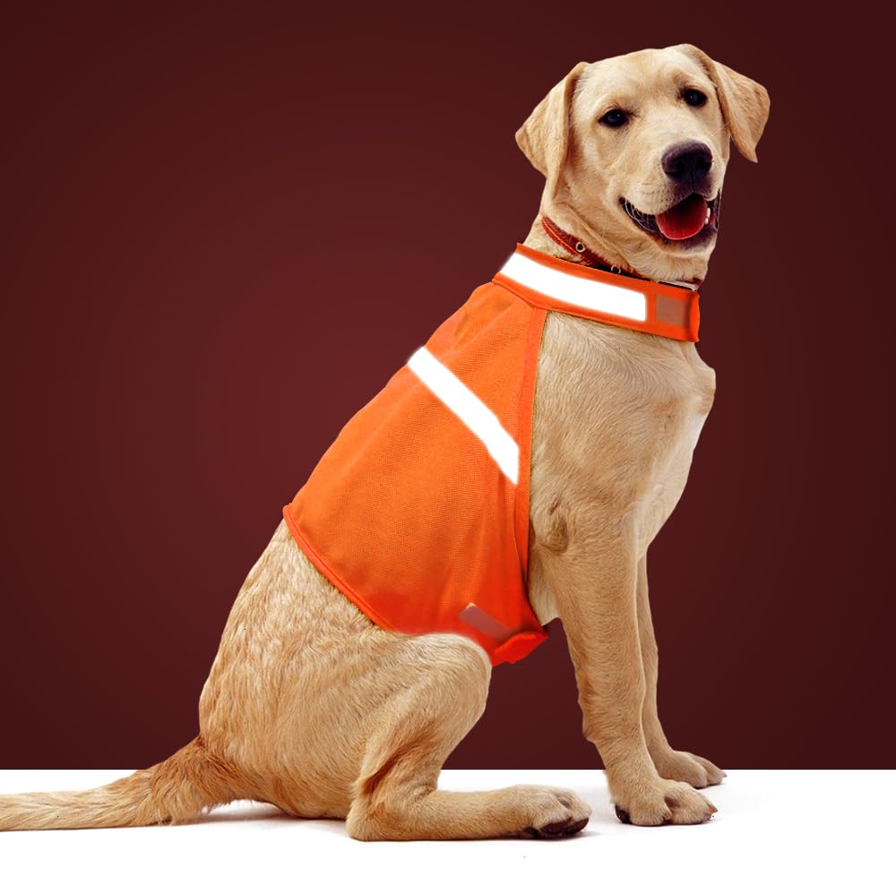 Veste Vizbrite pour chien, vue avant, bandes réfléchissantes pour plus de sécurité nocturne.
