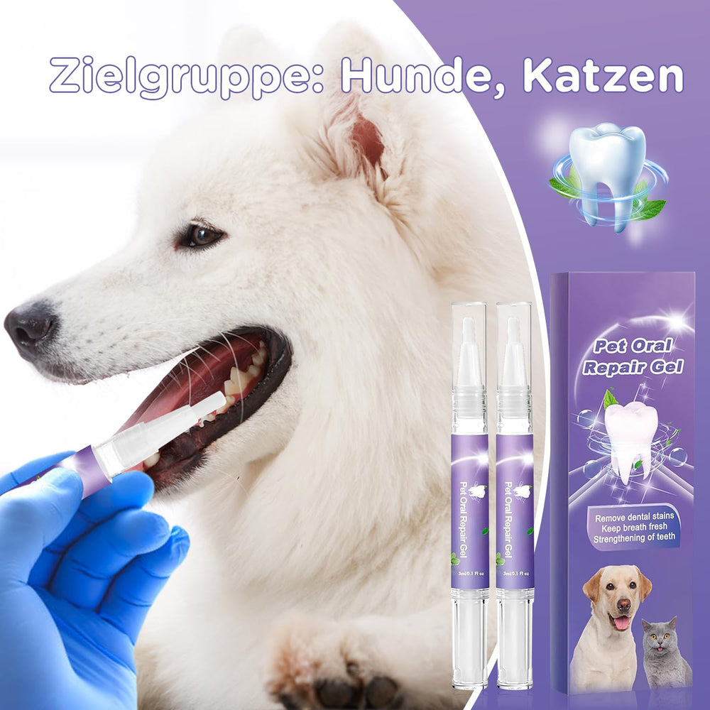 Vizela gel buccal animal, facilité d'application et fraîcheur durable.