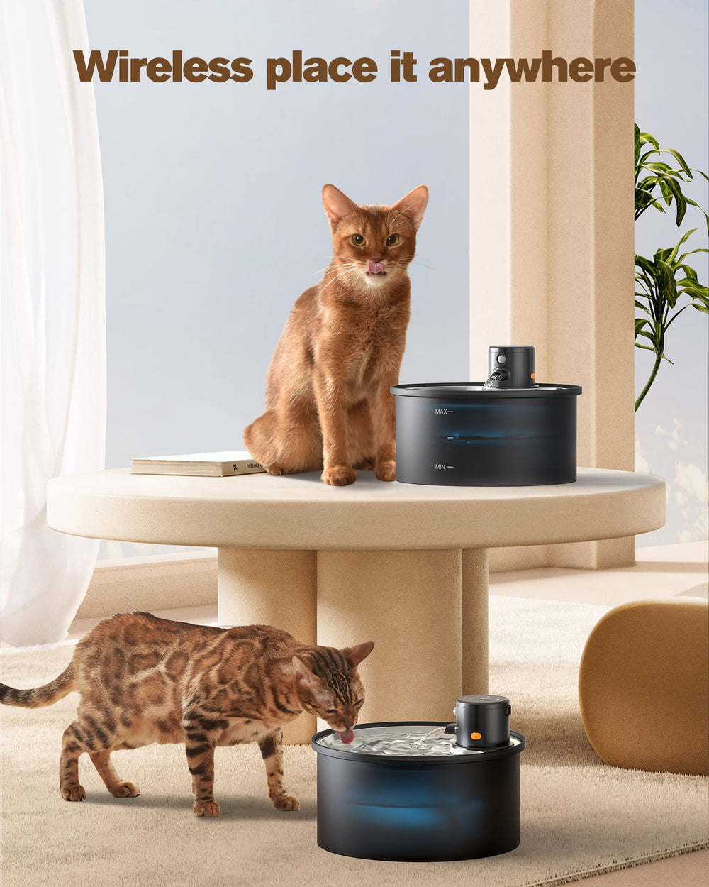 VKIMISS affichage des trois modes d'écoulement pour chats