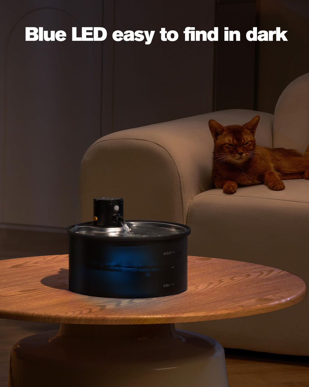 VKIMISS utilisation au quotidien pour chats quand vous êtes absent