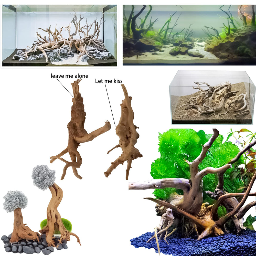 Vmiapxo supporte plantes aquatiques avec attache nylon sur le bois.