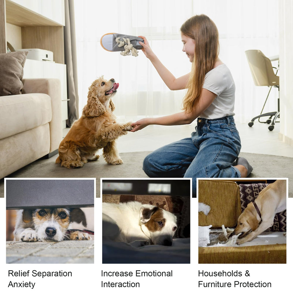 Jouet vocheer pour chien – nettoyage facile en machine, pratique et rapide.