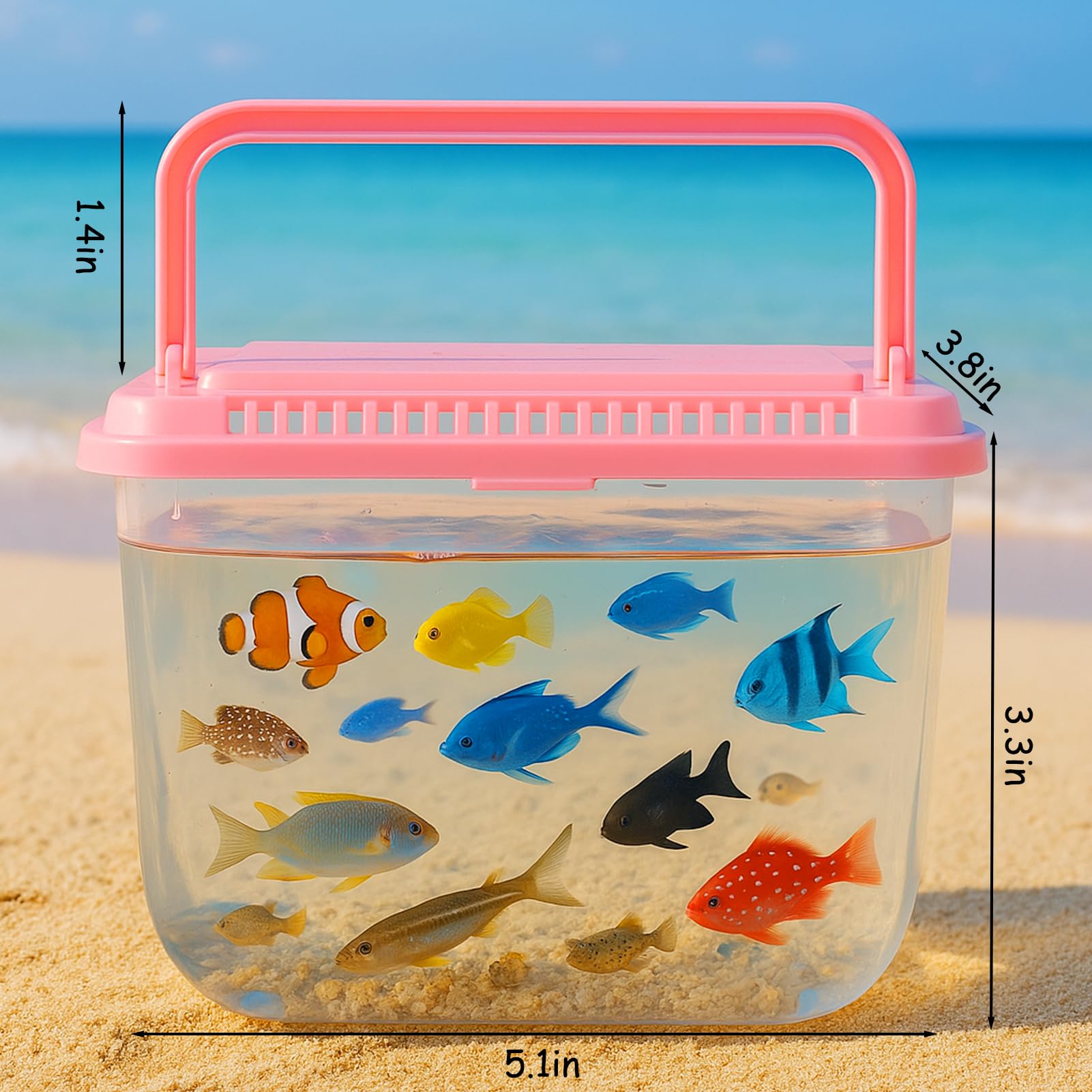 Vodolo Beach Aquarium portable, parfait pour des expériences nature lors des vacances.