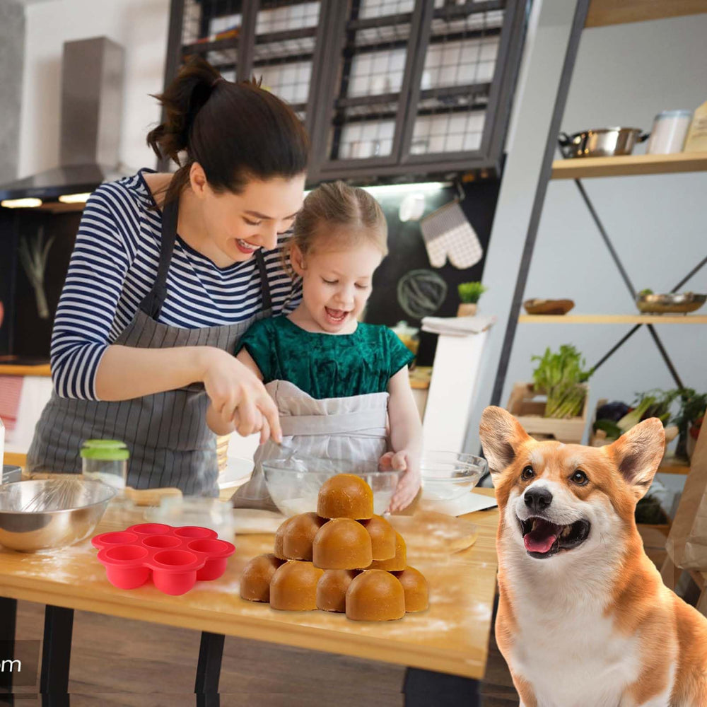 Recettes Vodolo friandises chien variées maison