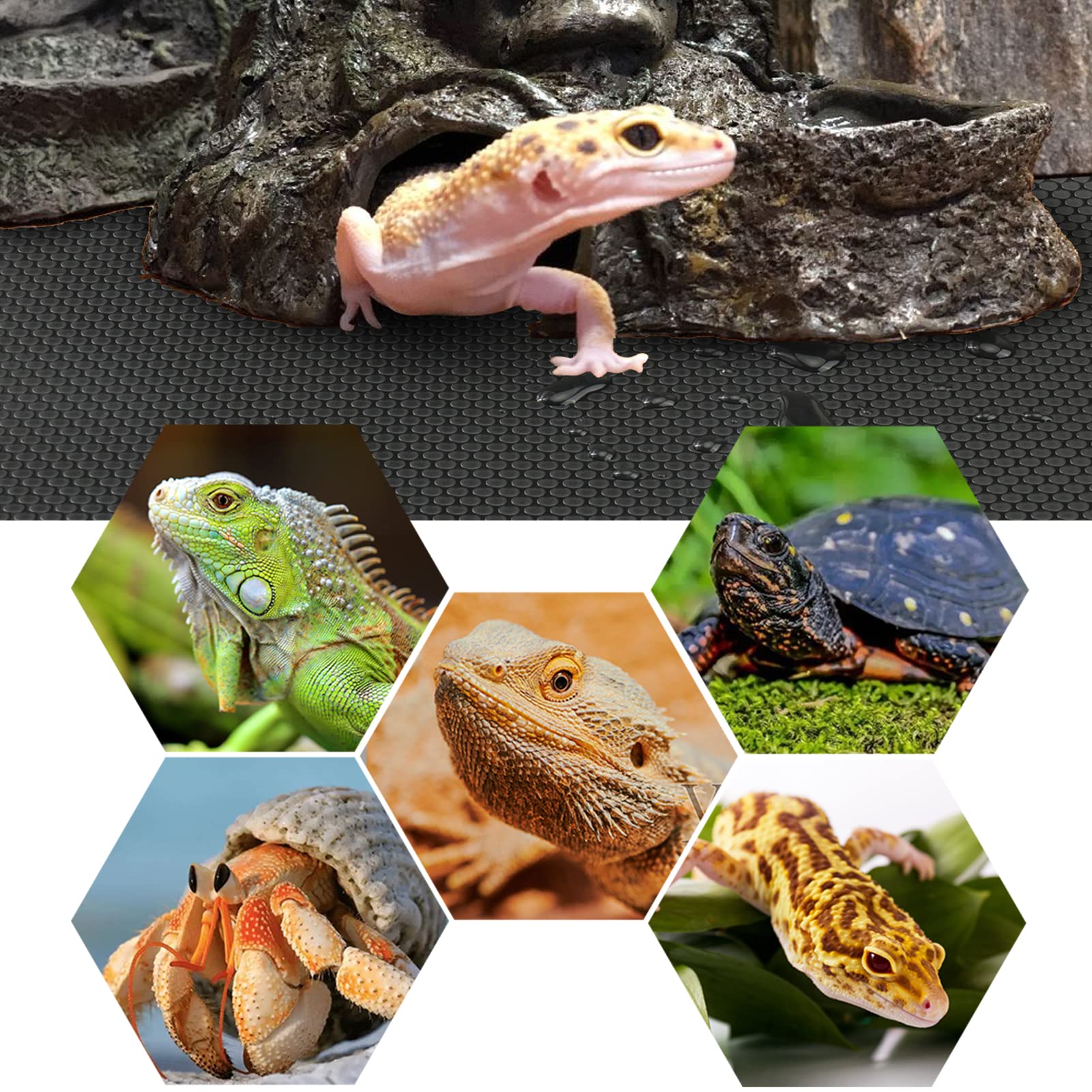 Vodolo tapis terrarium noir surface lisse antiadhésive, protection des pattes.