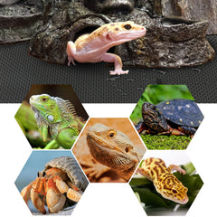 Vodolo tapis-terarium surface-lisse non-adhesif noir 118pouces, traction améliorée pour reptiles.