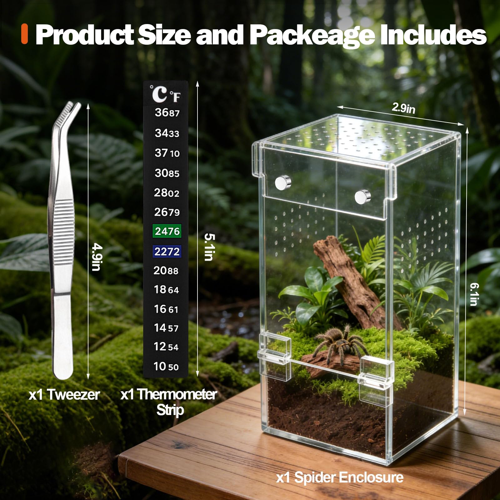 Vodolo terrarium – accès magnétique sur le côté pour nourrir sans stress.