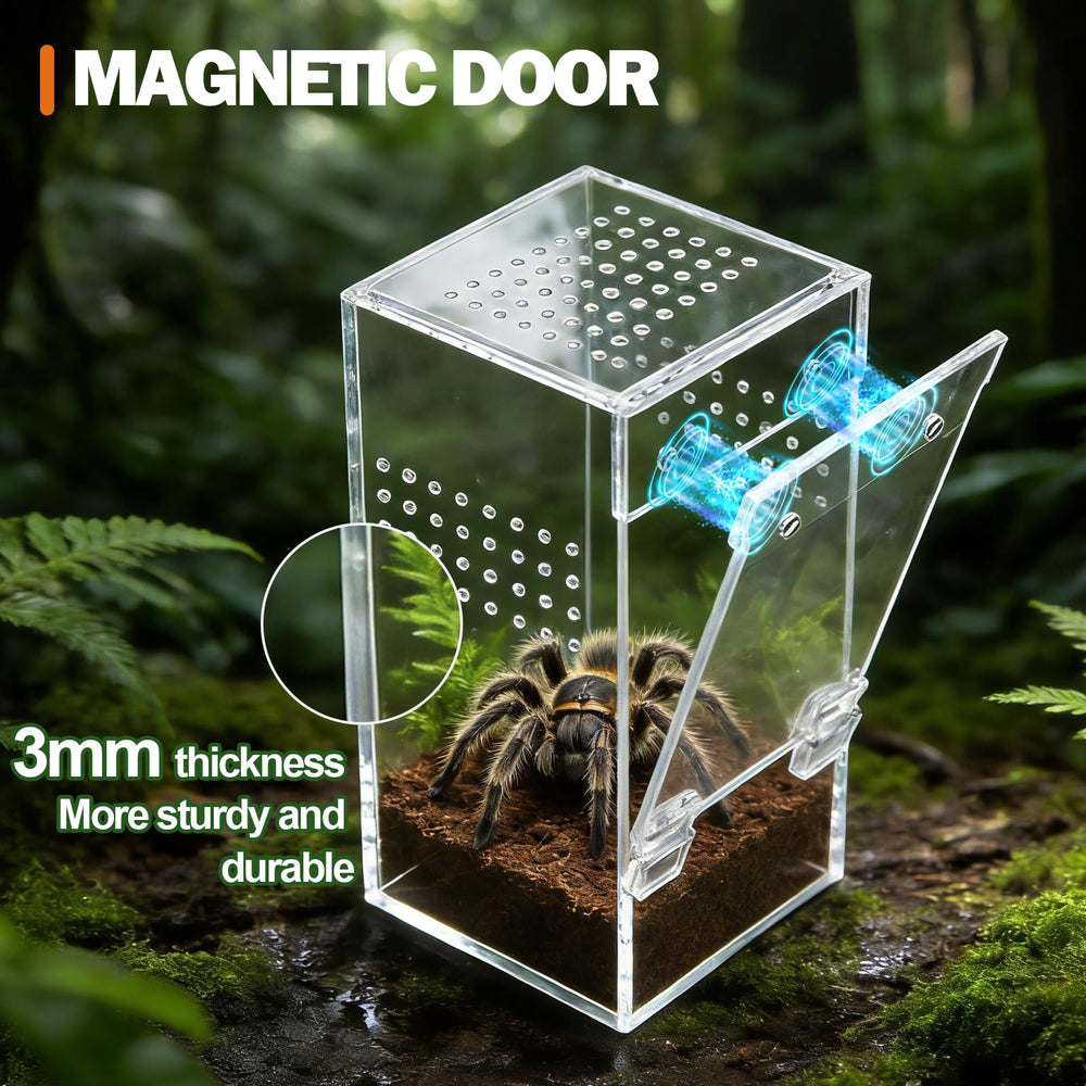 Vodolo terrarium – assemblage prêt à l'emploi sans montage.