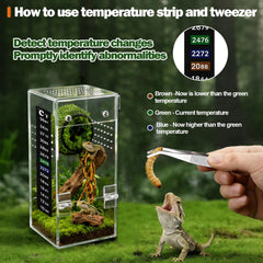 Vodolo terrarium – ventilation efficace sur le dessus et les côtés.