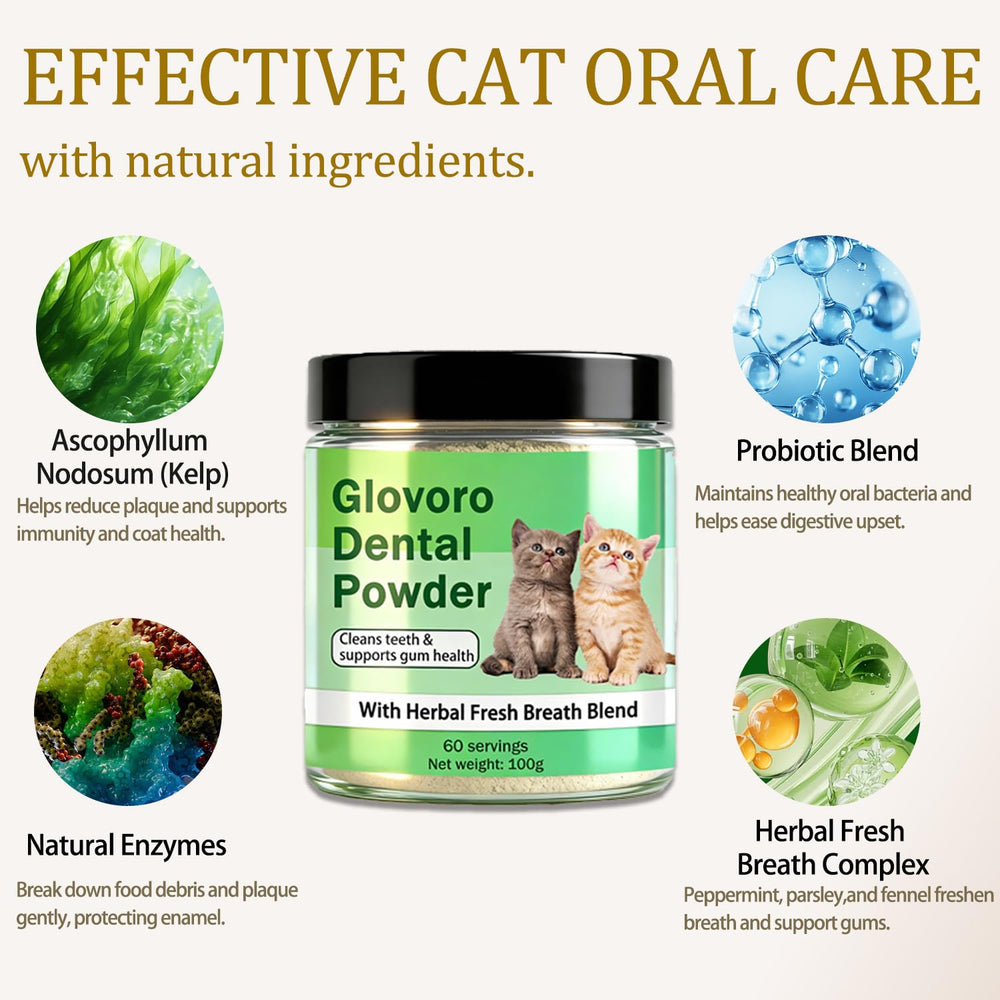 Voererh Glovoro Poudre Dentaire pour chat – gencives douces et confort