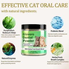 Voererh Glovoro Poudre Dentaire pour chat – gencives douces et confort