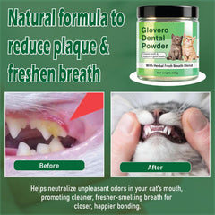 Voererh Glovoro Poudre Dentaire pour chat – mélange facile dans l'alimentation