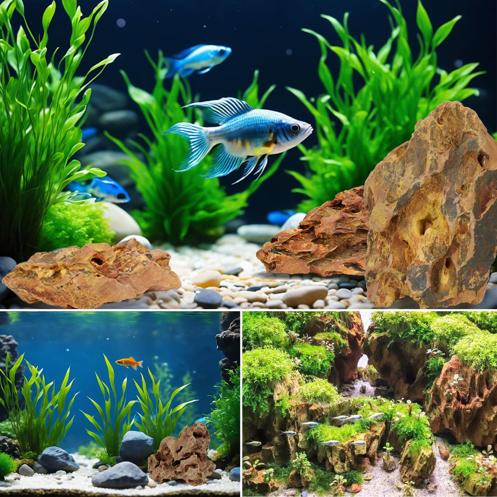 VOKOY decoration-paysage dragon-roches transforme rapidement le paysage aquatique.
