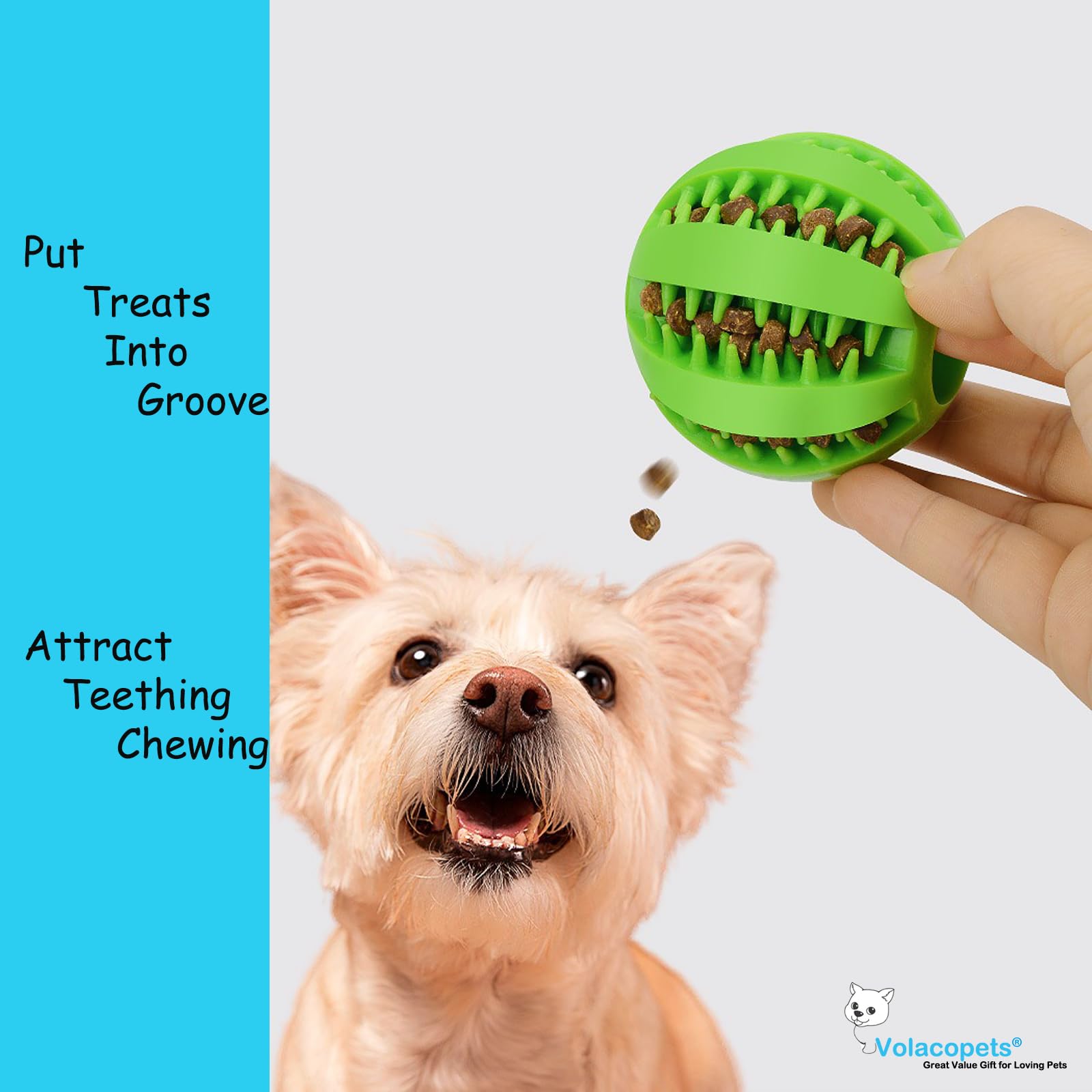 Volacopets balle qui siffle pour chiots, jeu stimulant et attentif.