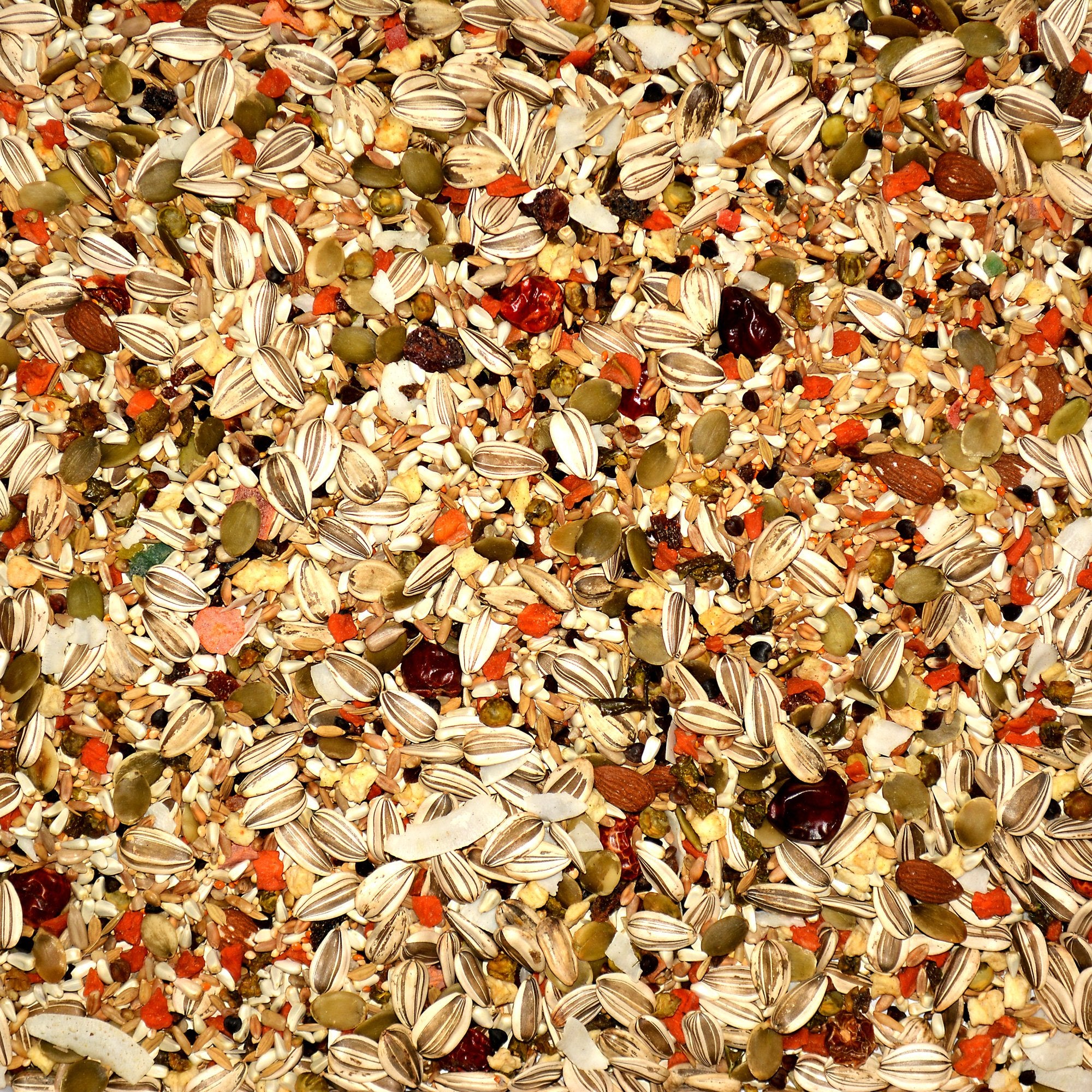 Volkman Avian Science Eclectus – preservateur naturel à l'huile d'orange, conservant la fraîcheur