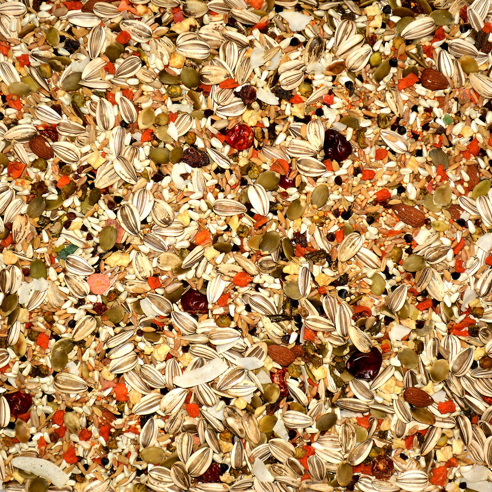Volkman Avian Science Eclectus – preservateur naturel à l'huile d'orange, conservant la fraîcheur