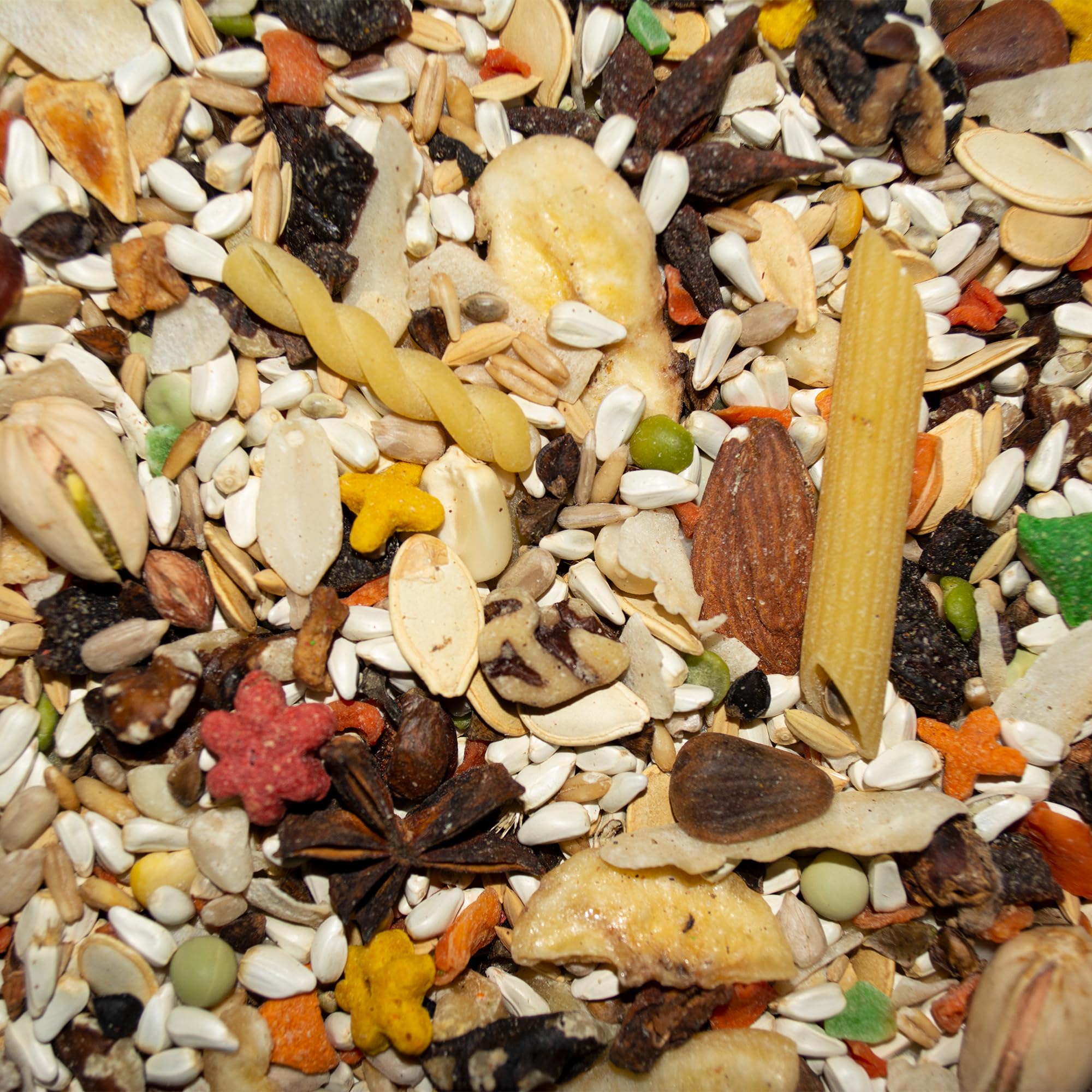 Volkman Avian Science Super African Grey : association fruits et légumes pour enrichissement quotidien.