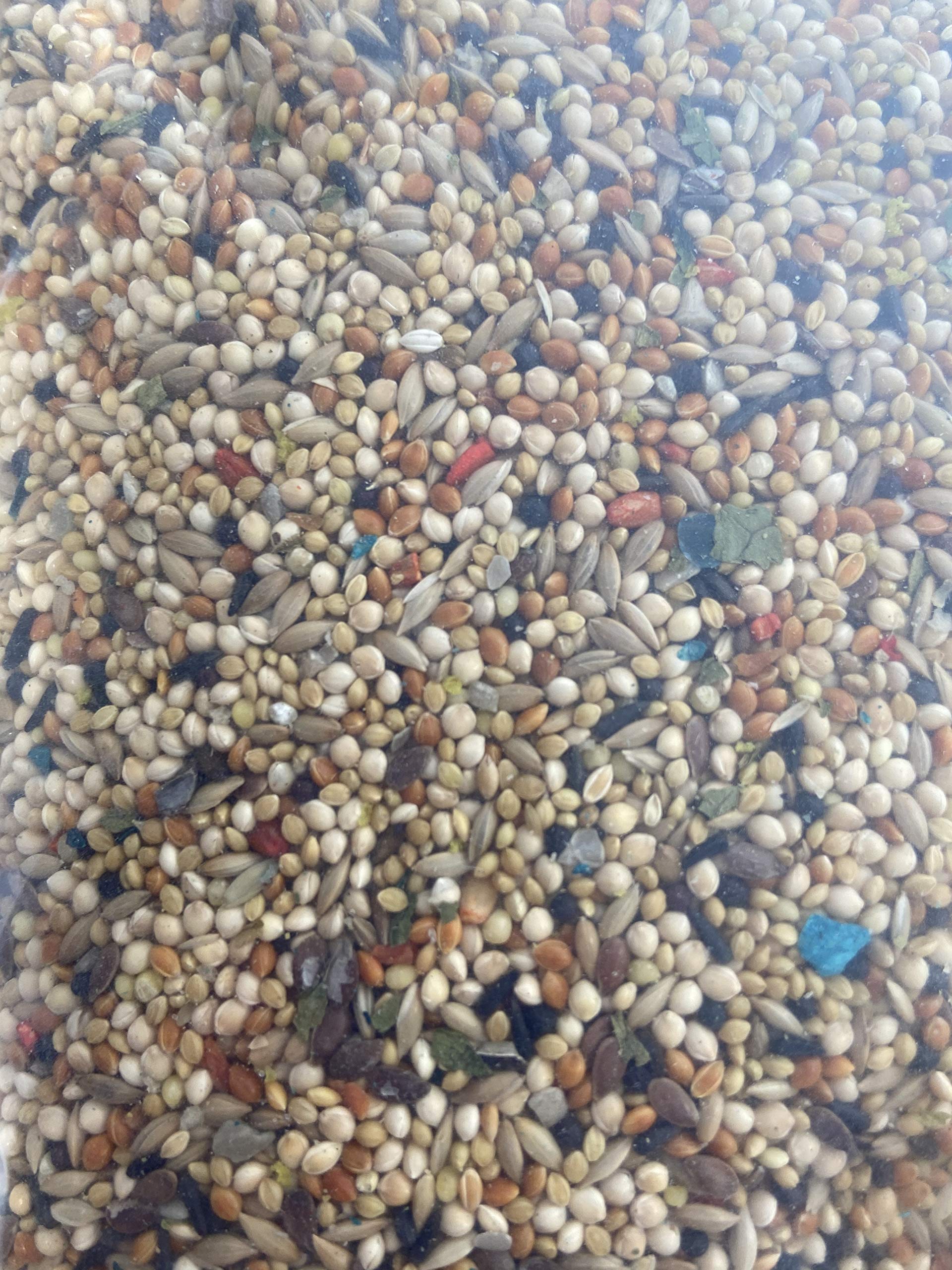 Volkman Avian Science Super Finch soutient les serins avec des nutriments ajoutés.