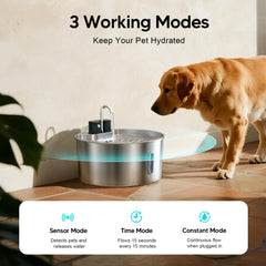 Voluas filtration 4 couches – eau plus propre pour chien.