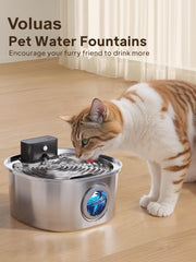 Filtre Voluas compatible fontaine 108oz, installation aisée.