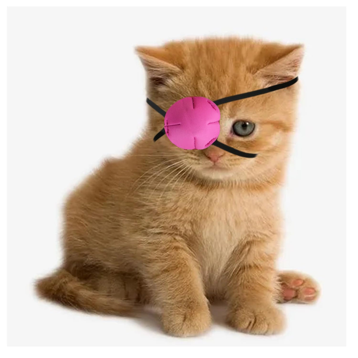 Patch œil vomvomp pour chat, gros plan sur la protection douce.