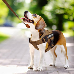Harnais VOOPET ajustable s’adaptant à toutes les tailles de chien.
