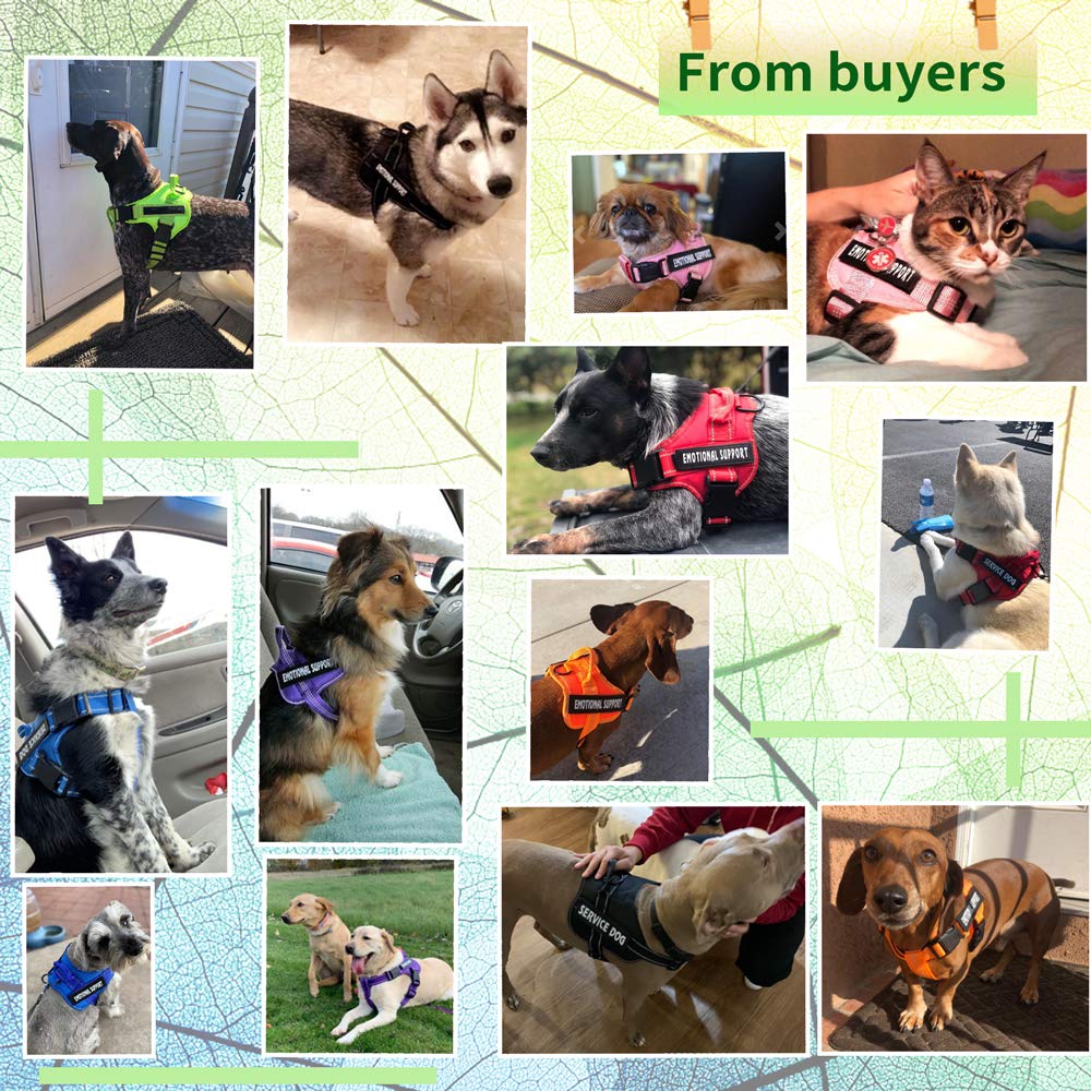 VOOPET harnais-service-chien-anti-traction: réduction d'effort lors des sorties.