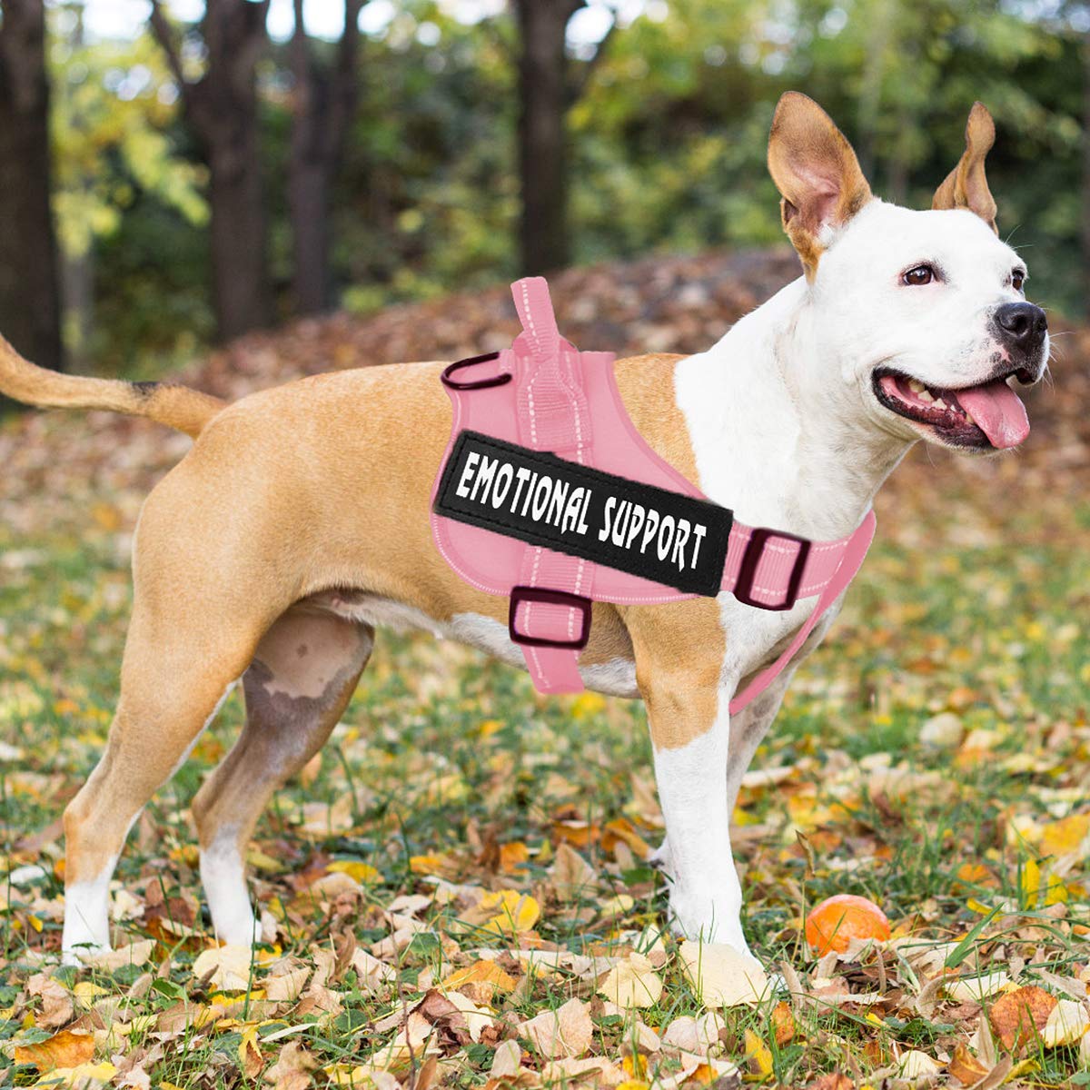 VOOPET harnais-service-chien-ecusson-durable-amovible: badge utile en entraînement.