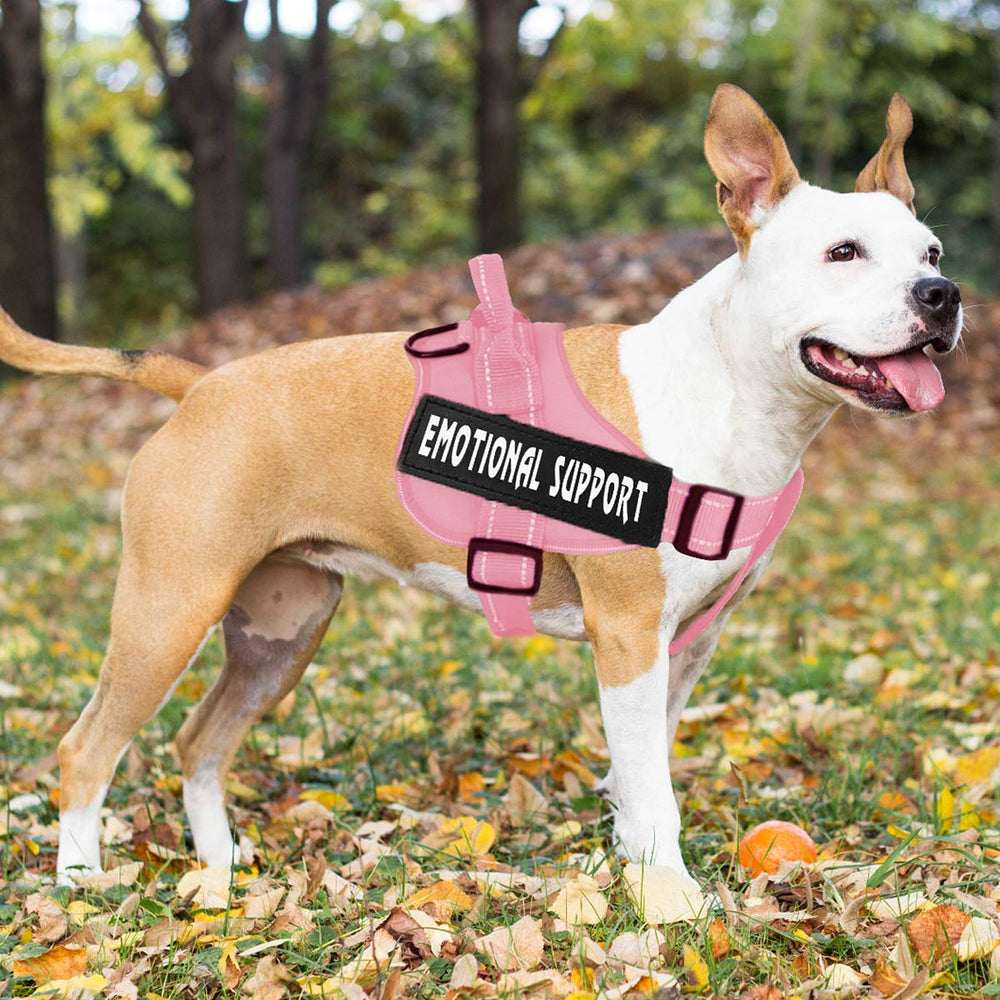 VOOPET harnais-service-chien-ecusson-durable-amovible: badge utile en entraînement.