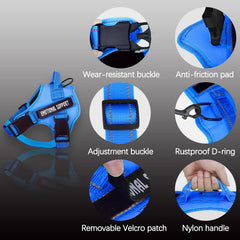 VOOPET harnais en maille respirante, confort durable pour sorties.