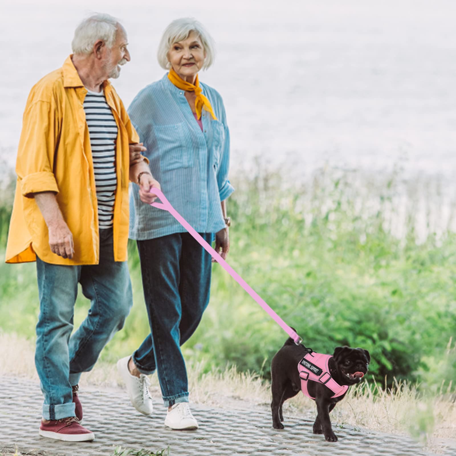 Harnais VOOPET usage quotidien chien-service, sécurité et soutien lors des sorties.