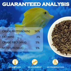 Vorenzyme: alimentation poisson couleur éclatante qui ravit les Bettas et guppys.
