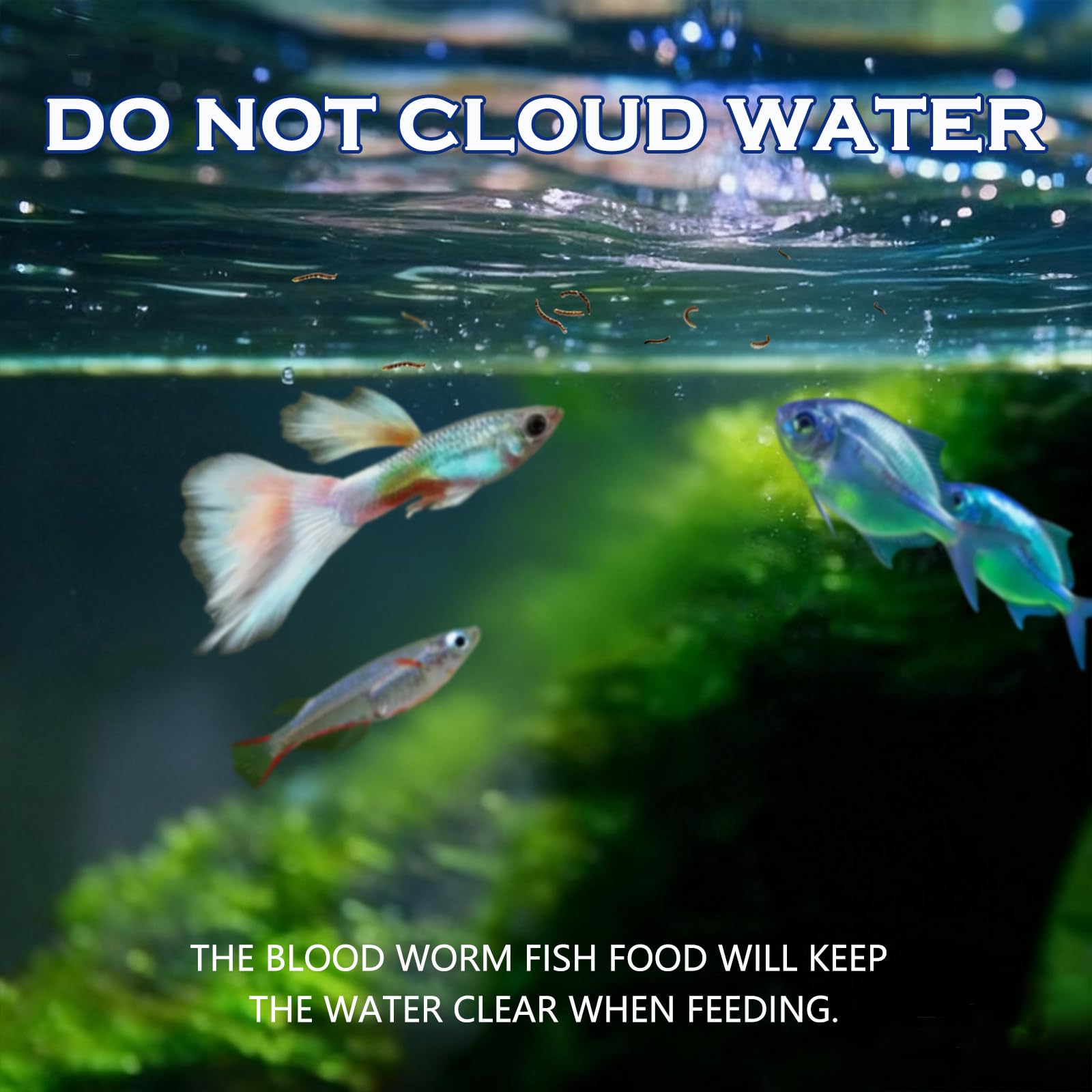 Vorenzyme poissons variés-compatible convient Bettas, Guppys et Cichlidés.