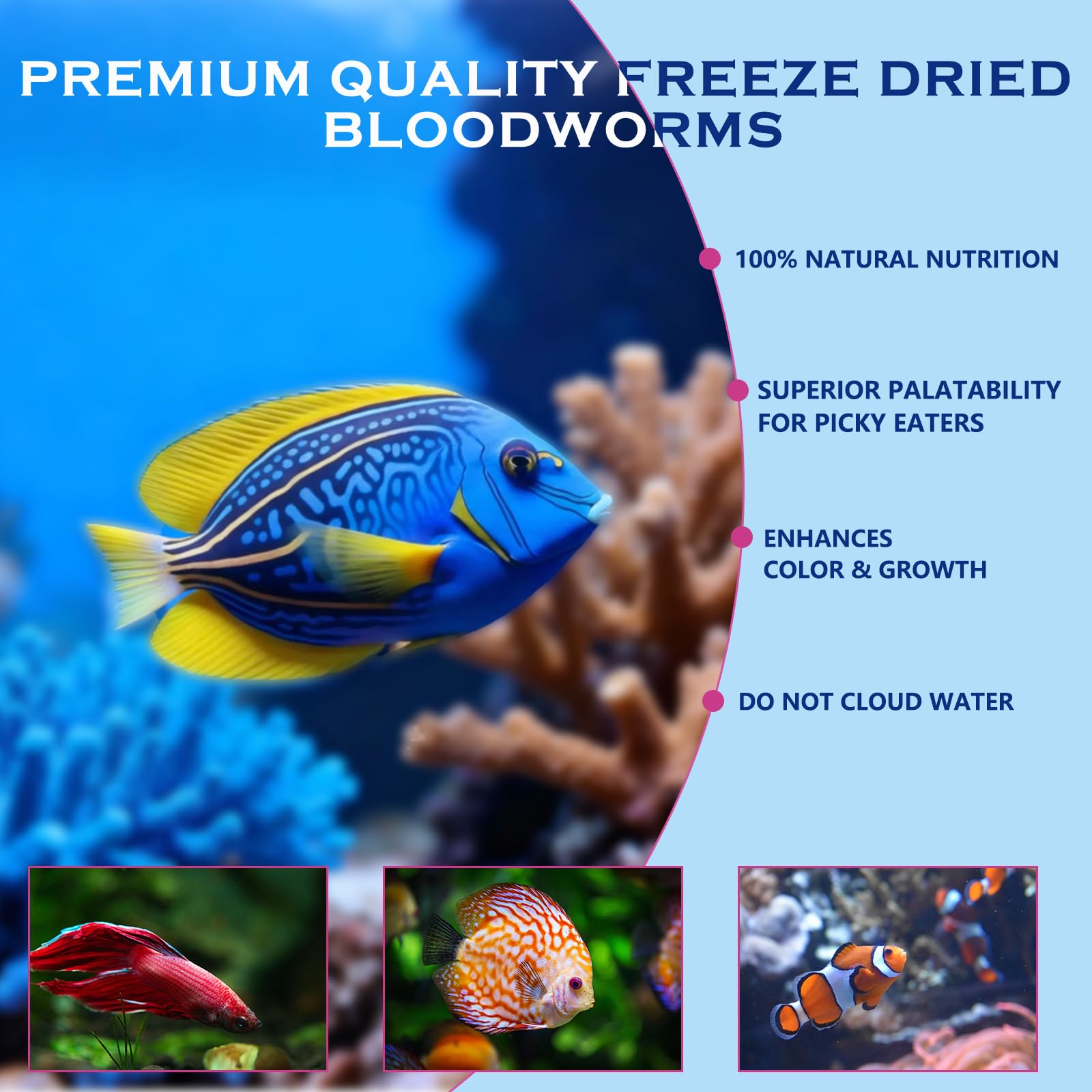 Vorenzyme: texture croquante et facile à digérer pour poissons exigeants.