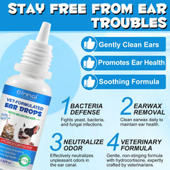Chien oreilles saine grâce à VOSIFSDIY