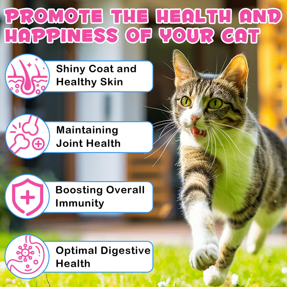Articulations et mobilité plus fluides avec le collagène pour chats VOSIFSDIY.