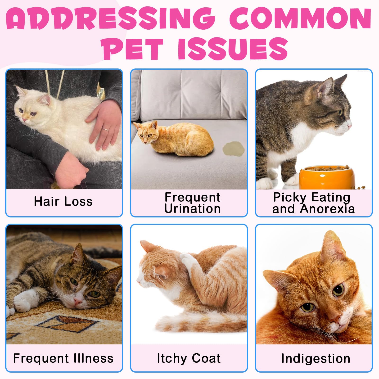 Peau et pelage plus sains et brillants grâce au collagène pour chats VOSIFSDIY.
