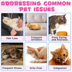 Peau et pelage plus sains et brillants grâce au collagène pour chats VOSIFSDIY.