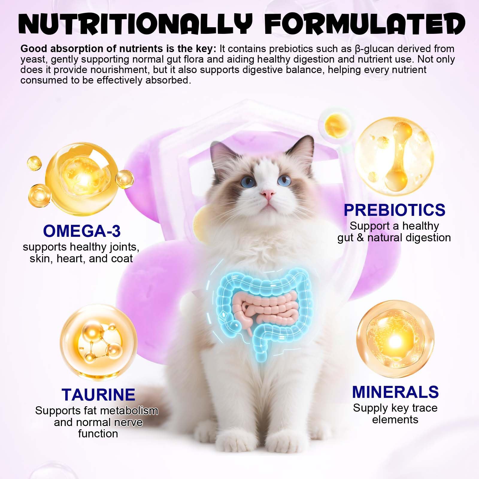 Ingrédients clés VOSIFSDIY 15 en 1 : prébiotiques et probiotiques pour la digestion.
