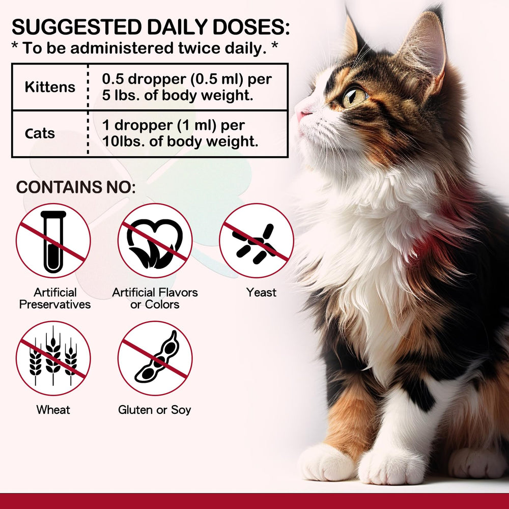 VOSIFSDIY fer naturel – mélanger dans la nourriture du chat.