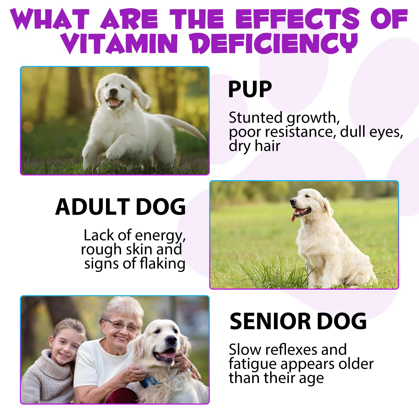 VOSIFSDIY Multivitamine Chien - cœur: énergie et vitalité potentielles