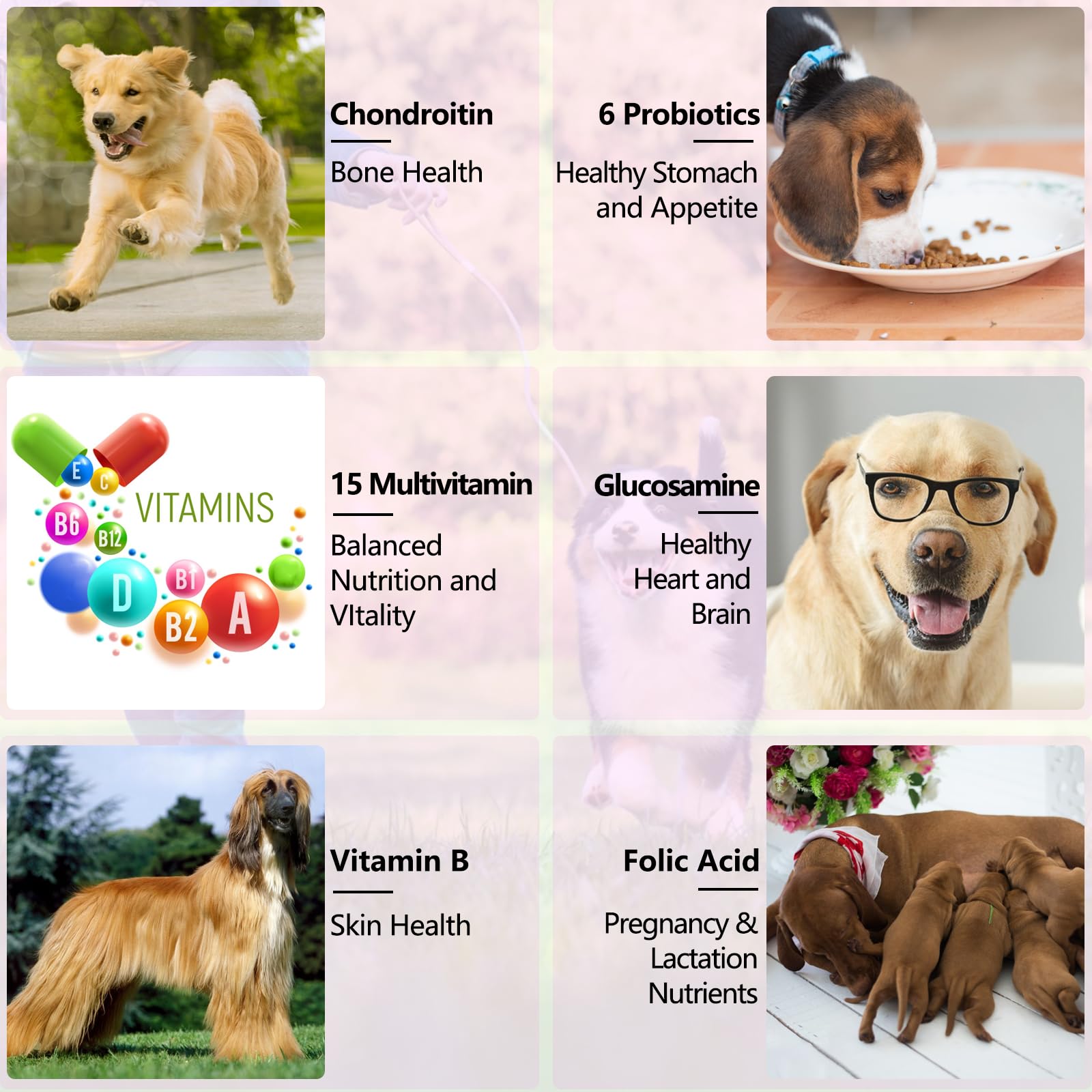 VOSIFSDIY Multivitamine Chien - digestion: douceur digestive et confort