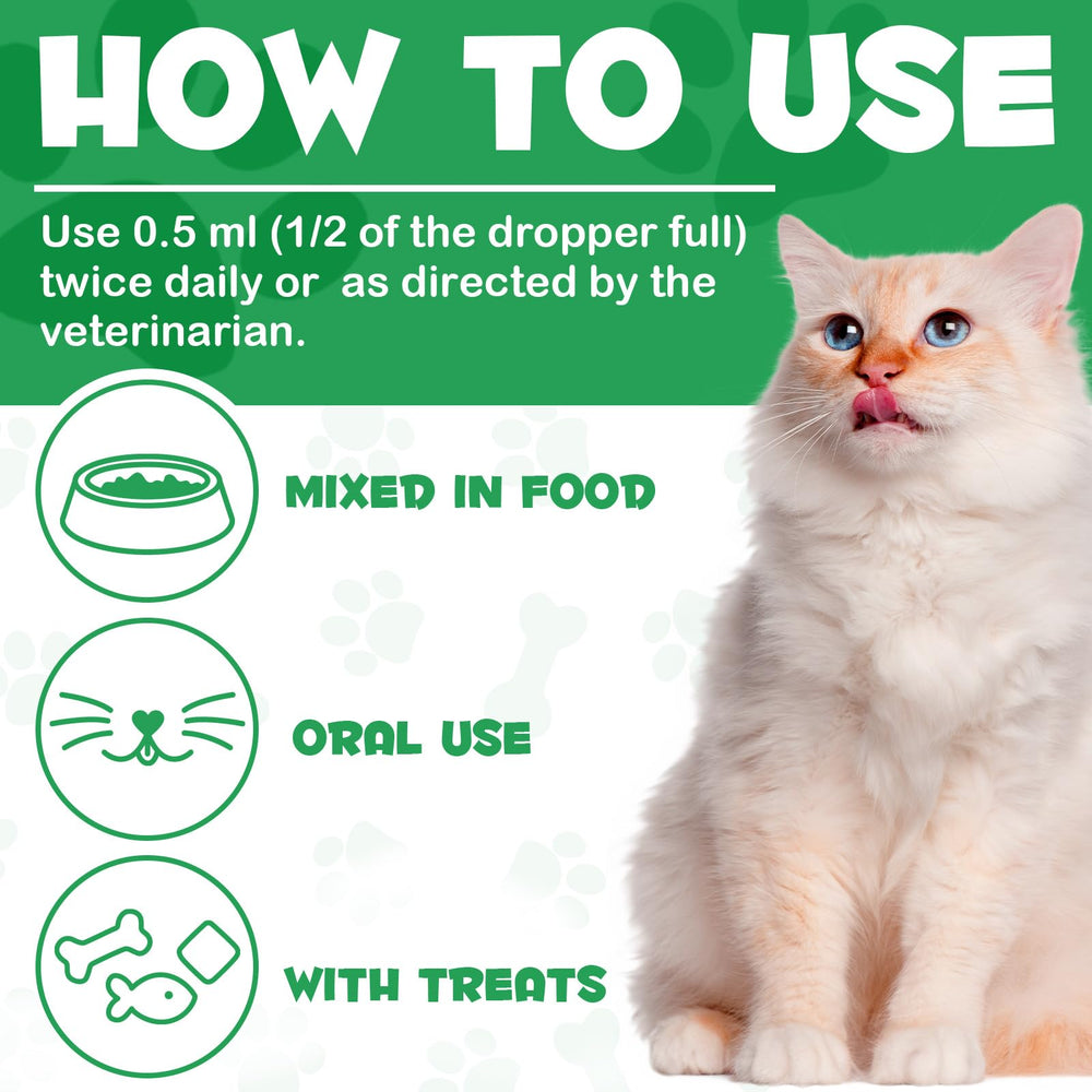 Formule sans additifs artificiels pour les chats VOSIFSDIY