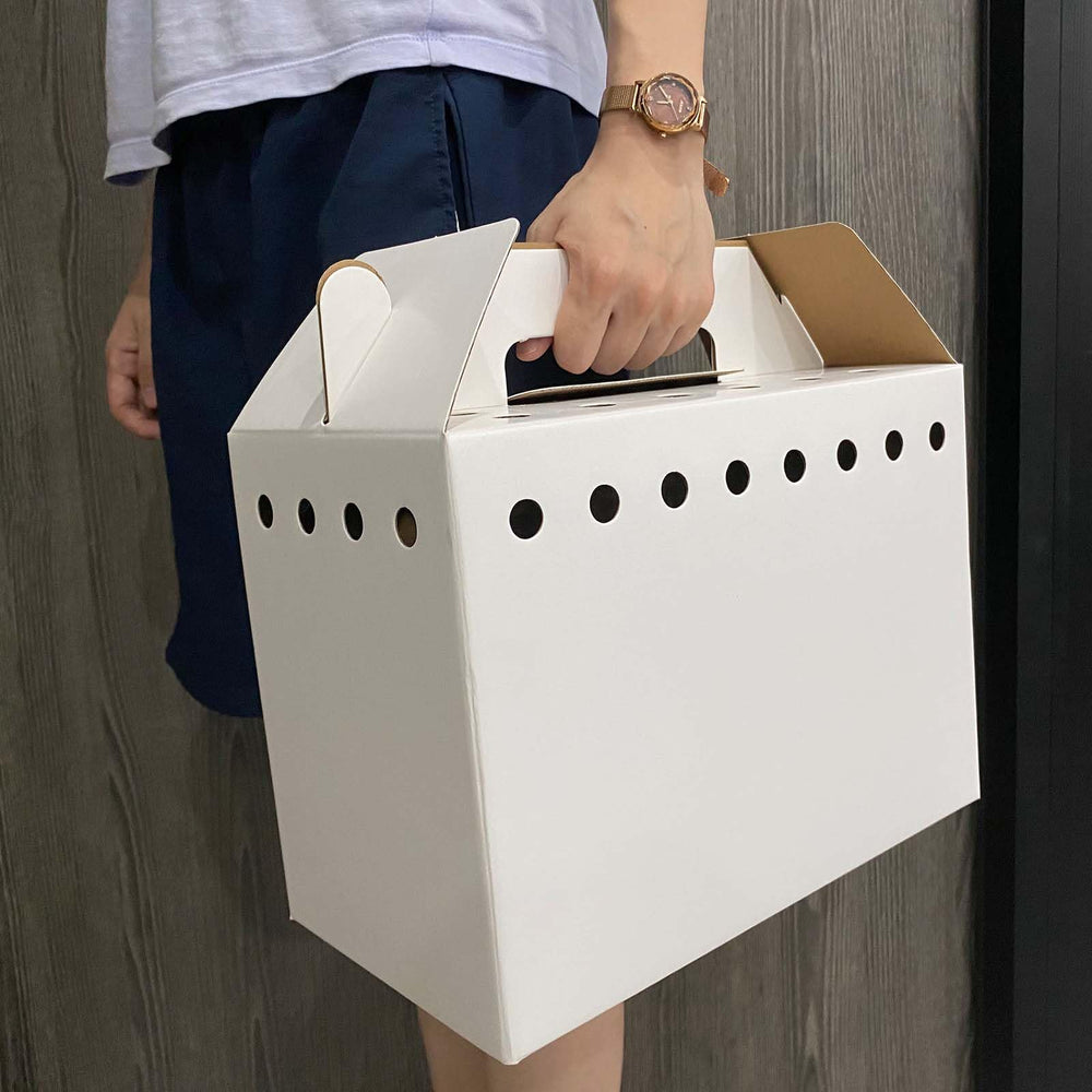 Boîte Vowcarol avec ventilation — transport confortable.